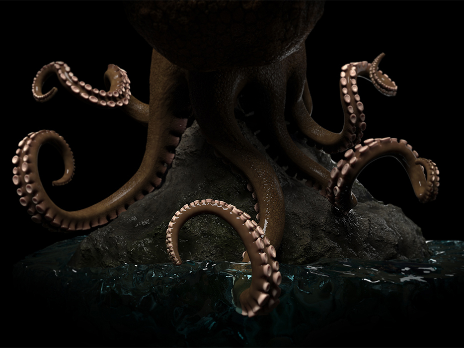 Octopus - Personal Project